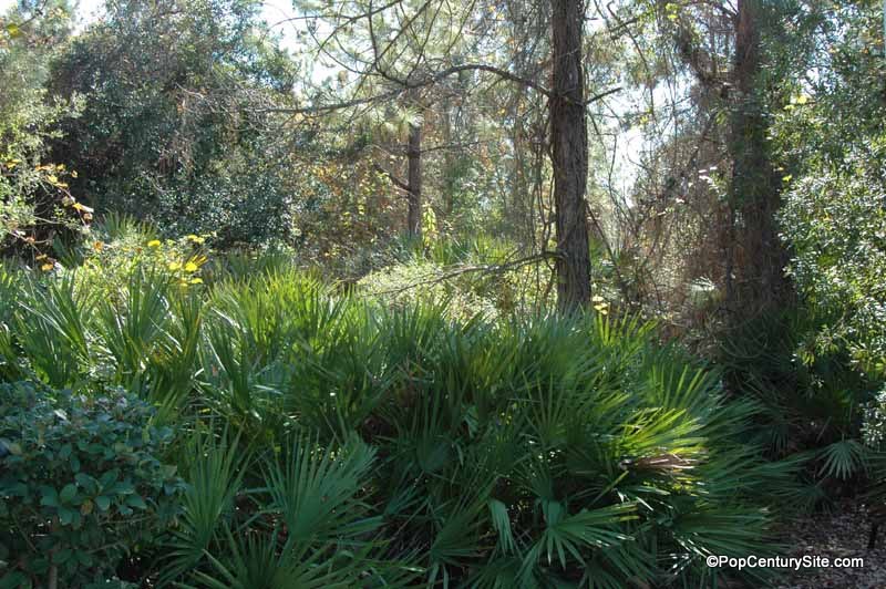 Greenery Along Jogging Path